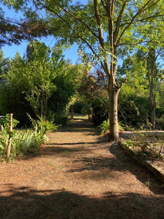 Le Cocon De Curson Chambre D'Hotes Chanos-Curson Exterior foto